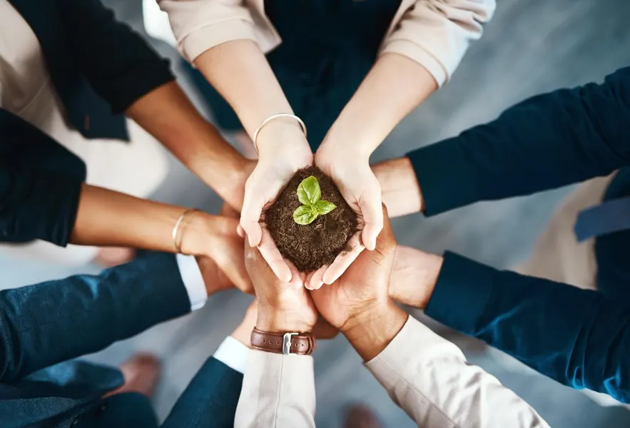 Sustainability: From GoalSetting to Impact